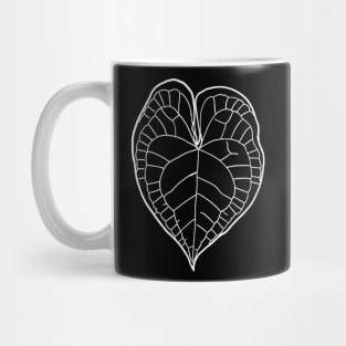 Anthurium clarinervium Mug